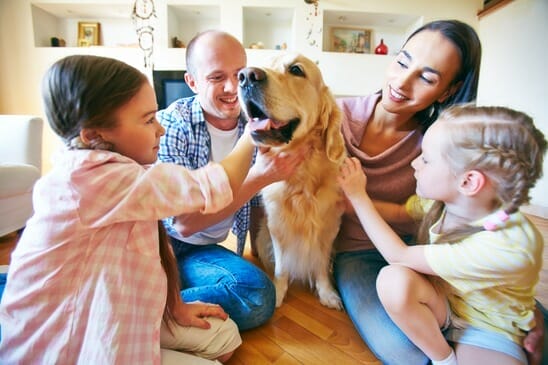 A young friendly family of four cuddling their pet